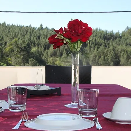 Solar De Sao Jacinto -