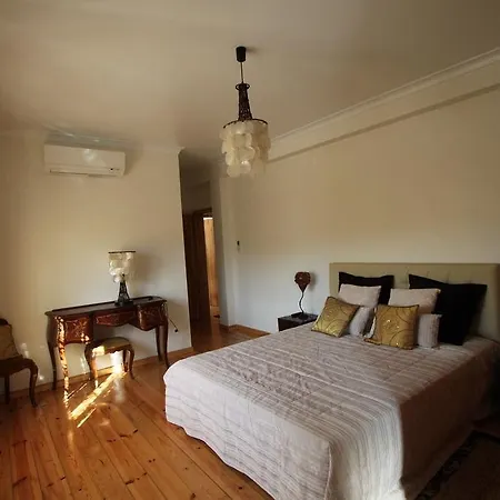 Solar De Sao Jacinto Farm stay