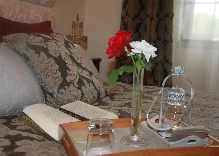 Solar De Sao Jacinto - Alloggio per agriturismo