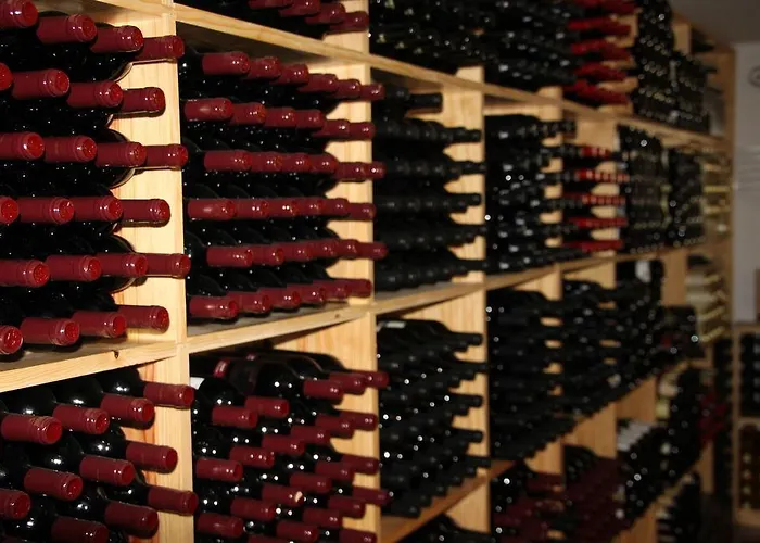 Solar De Sao Jacinto - * Proença-a-Nova